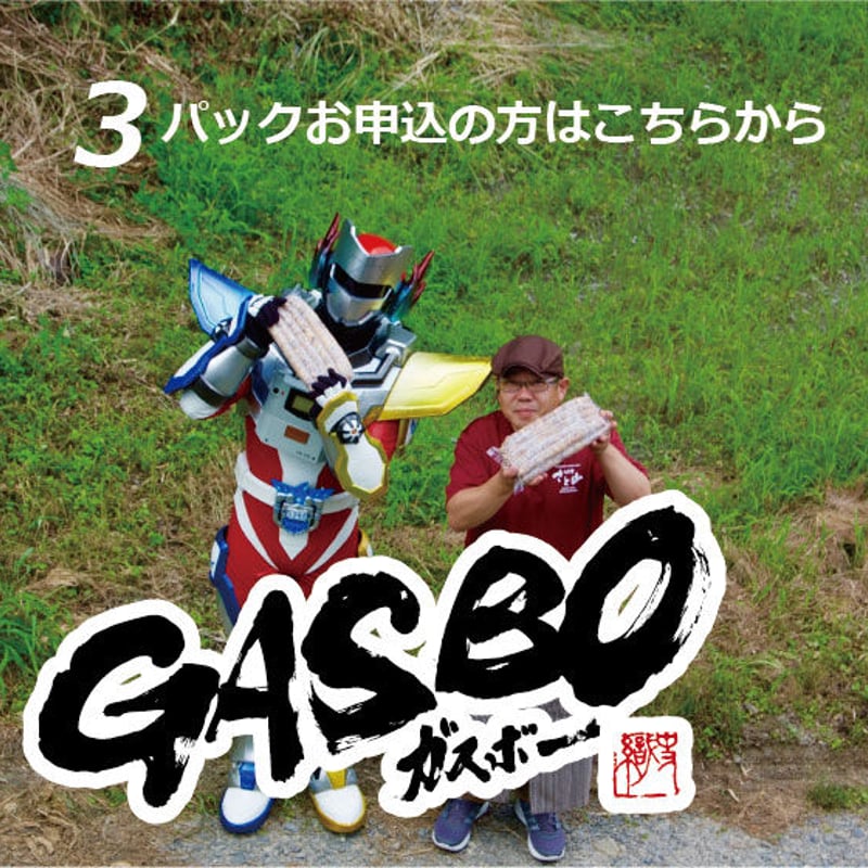 超ロング粗挽きウインナー “ガスボ－”3パック | さと山オンライン