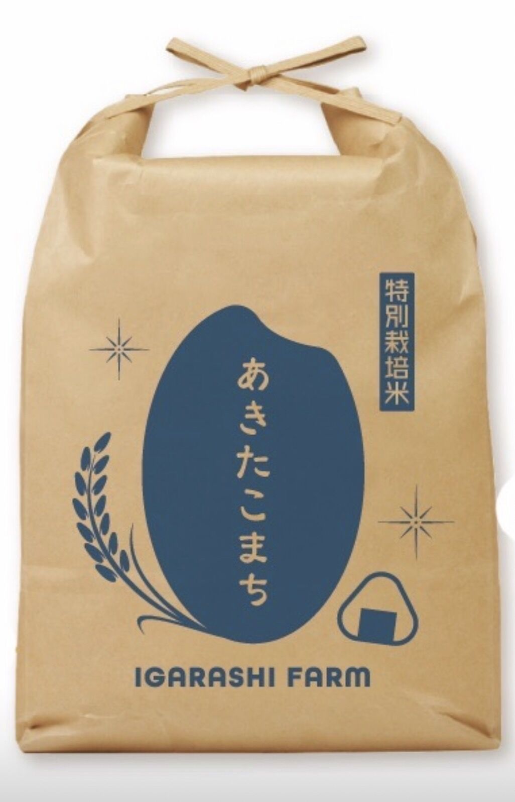 令和６年産　白米 10kg クラフト紙袋入り 令和6年産 白米 10kg クラフト紙袋入り