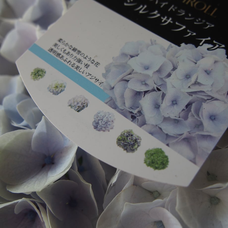 6459d508d5cfeb002b05e81f