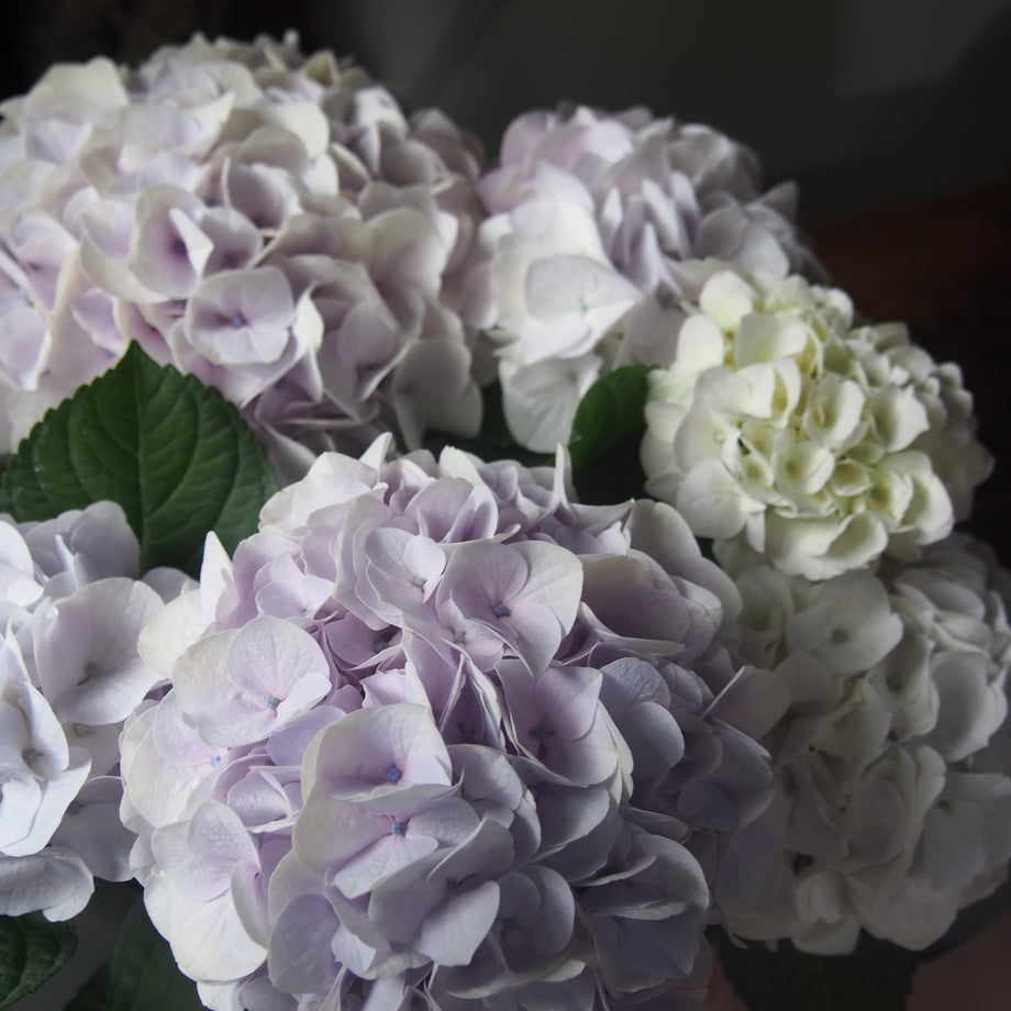 6459d508d5cfeb002b05e81f