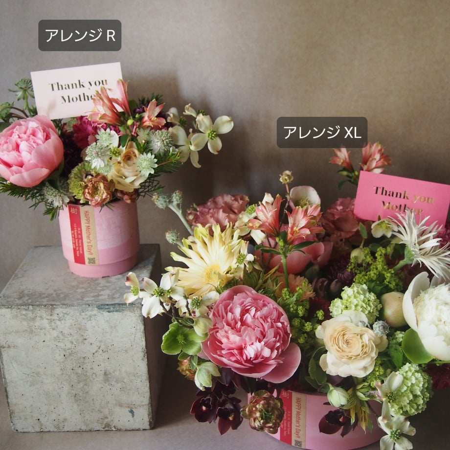 661b9cfc60053716400cb00a
