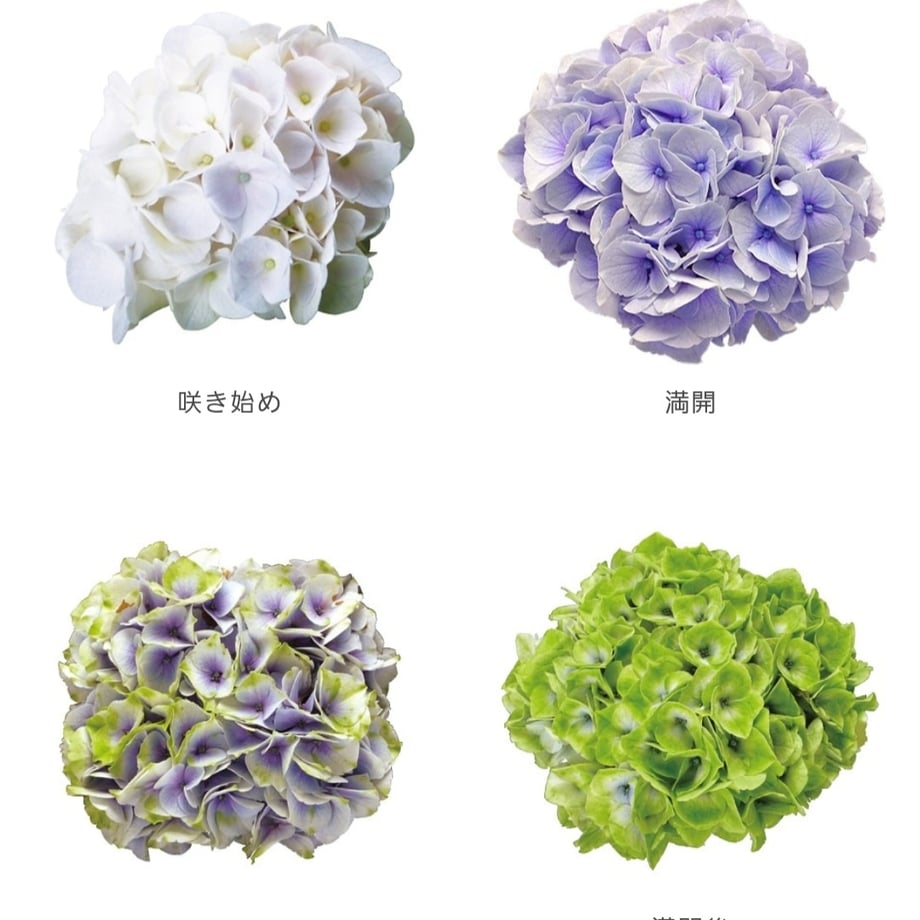 6459d508d5cfeb002b05e81f
