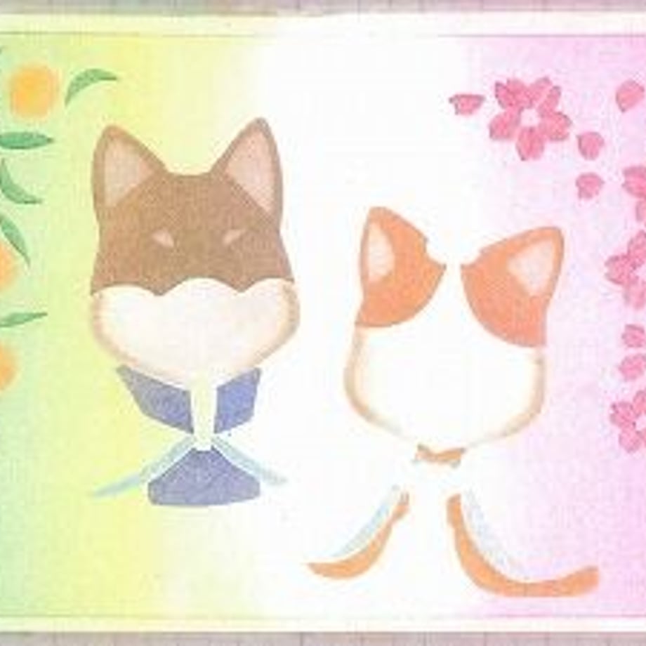 63c8b2b51090890dab3d0452