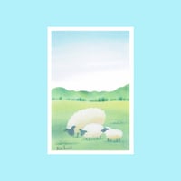 ﾎﾟｽﾄｶｰﾄﾞ【3匹の羊】