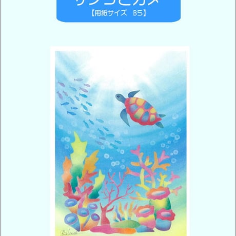 B5【サンゴとカメ】