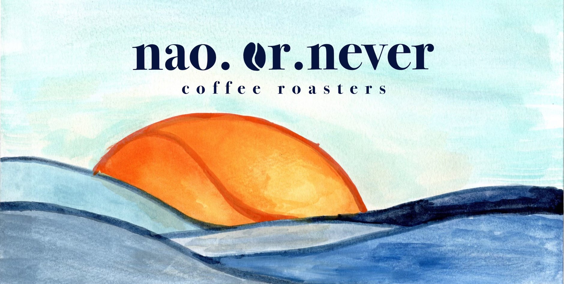 nao.or.never