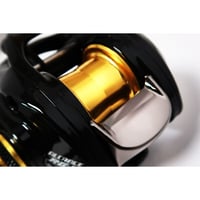 ALCANCE  RG-C　アルカンセRG-C
