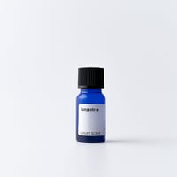 NANOAMINO PREMIUM(ナノアミノプレミアム) ボーテ スムースシャンプー