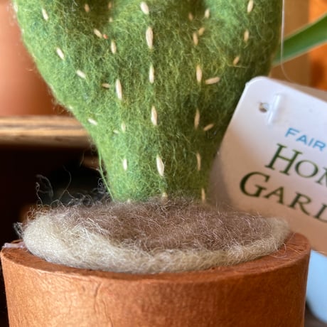 FAIRTRADE HANDMADE CACTUS