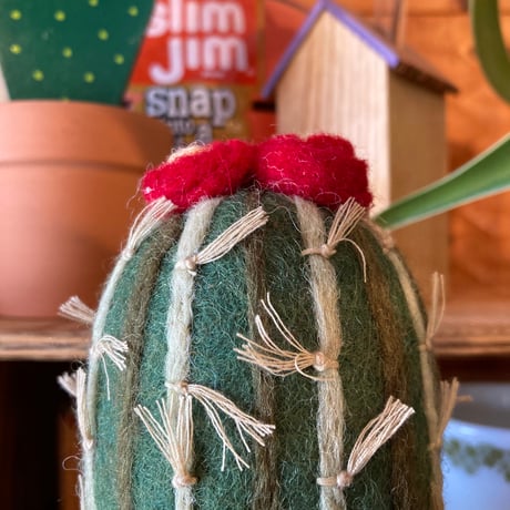 FAIRTRADE HANDMADE CACTUS
