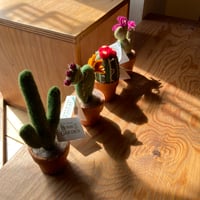 FAIRTRADE HANDMADE CACTUS