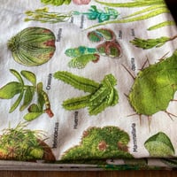ATLAS SCREEN PRINTING SUCCULENTE TEE