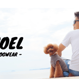 noel.dogwear