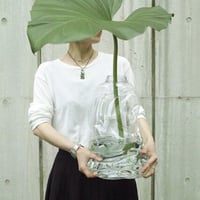 NIKO JUNE / EROS TORSO L clear / FLOWER VASE
