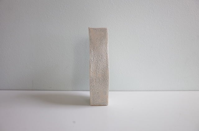 AYA COURVOISIER / FLOWER VASE / FORME MOON | ANORM