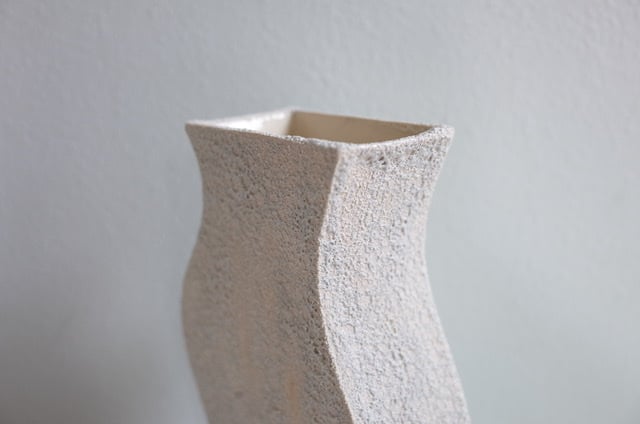AYA COURVOISIER / FLOWER VASE / FORME MOON | ANORM