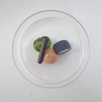 Pebble Garden 17