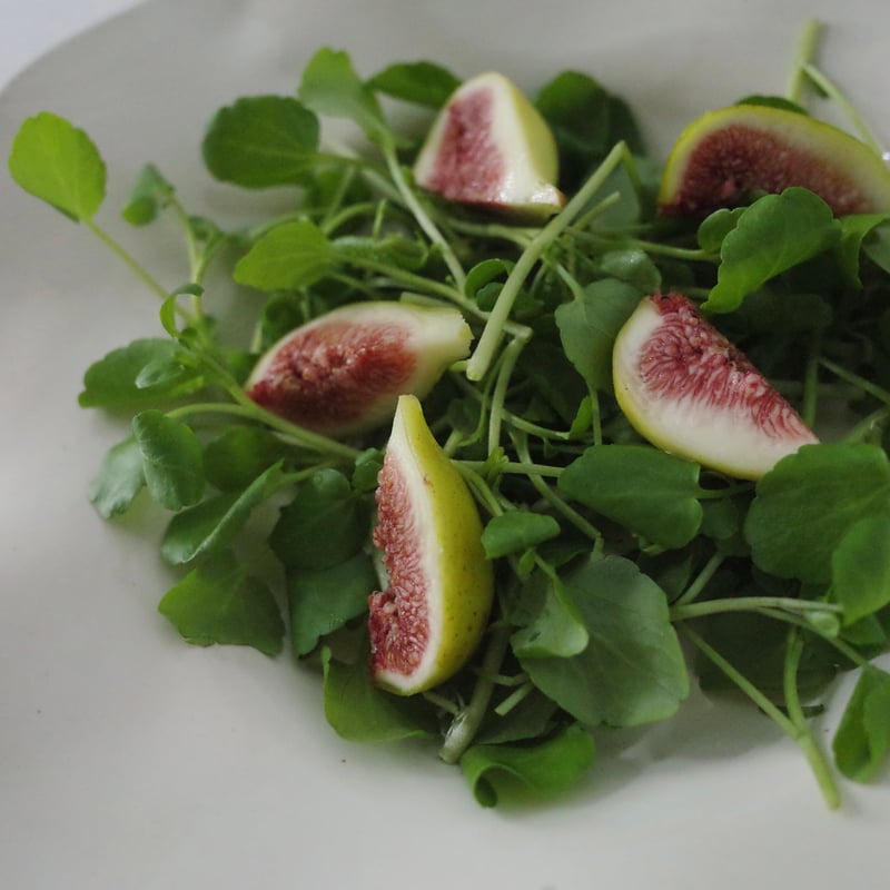 *未使用*　aya courvoisier　dance AYA COURVOISIER /DANSE | ANORM