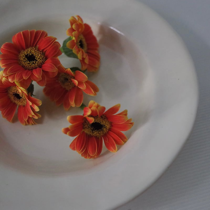 AYA COURVOISIER クヴァジエ彩 ÉTUDE A プレート AYA COURVOISIER /WHITE FEUILLE | ANORM