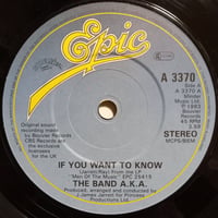 The Band A.K.A / IF You Want To You (7inch)