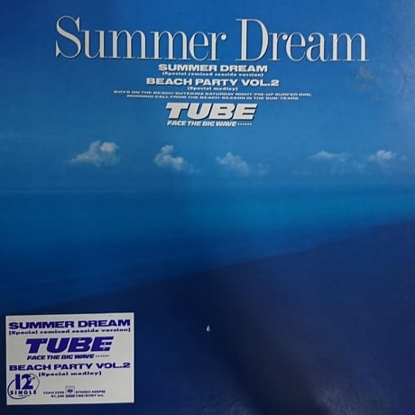 TUBE / Summer Dream (Special Remixed Seaside Version) (12inch)