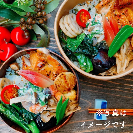 2【配達日6月25日(木)　配達希望時間10時～11時30分】　★法人契約専用ページ★いぐさでり　素材を活かしたきちんとお弁当