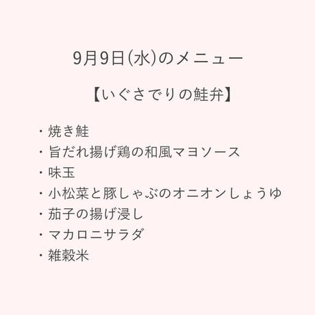 1【配達日9月9日(水)　配達希望時間10時～11時45分】【割引価格】★法人契約専用ページ★(※配達時間が通常と異なります) い草の鮭弁
