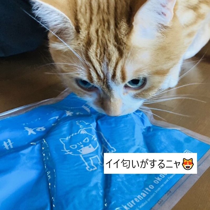 きいろ猫さま専用となります。