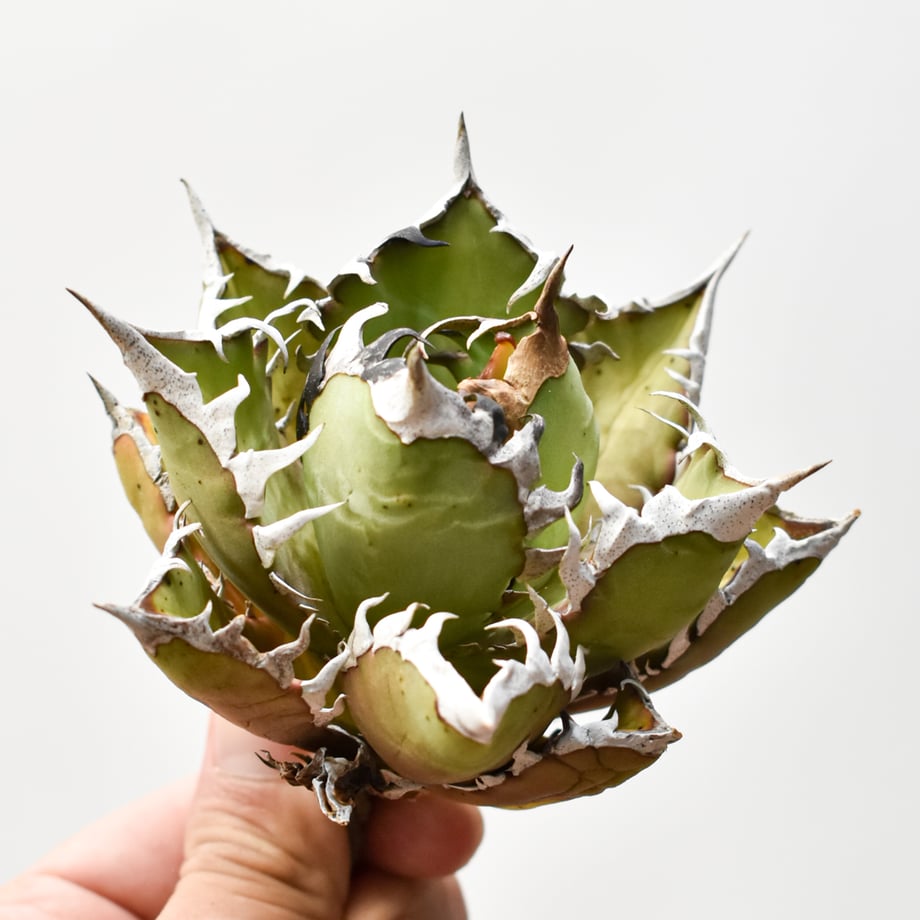 6900c99d47015eb083e34329