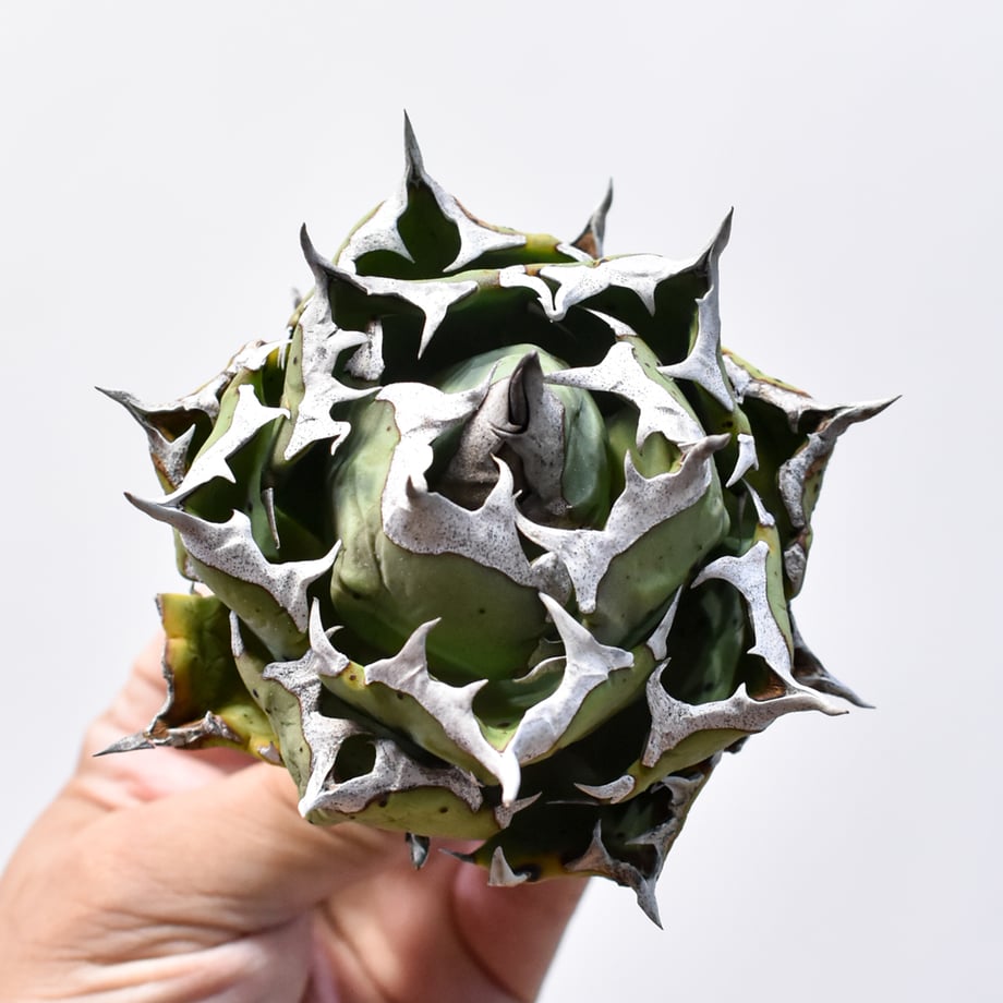 68cddabc01165d56c10dd129