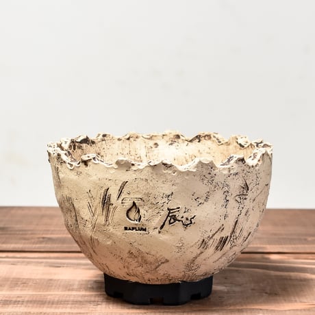 Matasuke Tatsumi（TEATOYA'S GALLERY）【Pirates pot WHITE】RFMT24022(T)