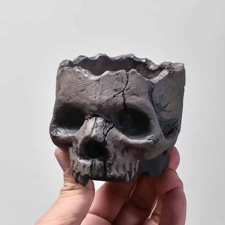 Matasuke Tatsumi（TEATOYA'S GALLERY）【Skull pot Black】B