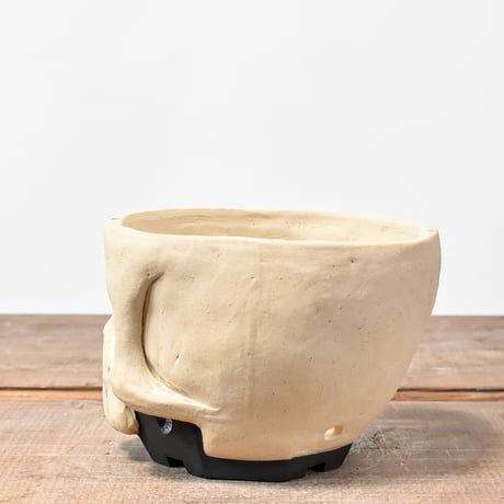 Matasuke Tatsumi（TEATOYA'S GALLERY）【Deformed Skull pot White】C