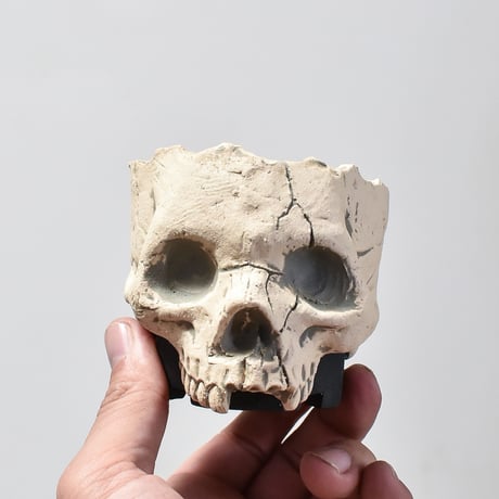 Matasuke Tatsumi（TEATOYA'S GALLERY）【Skull pot White】A