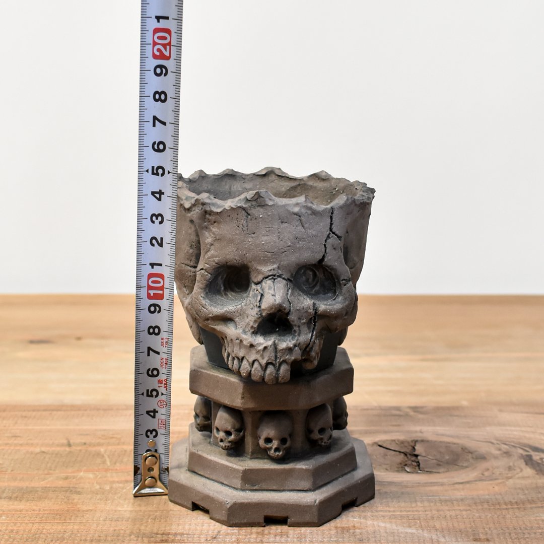 Matasuke Tatsumi（TEATOYA'S GALLERY）【Skull pot B