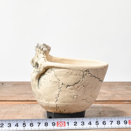 Matasuke Tatsumi（TEATOYA'S GALLERY）【Skull supine pot White 】D