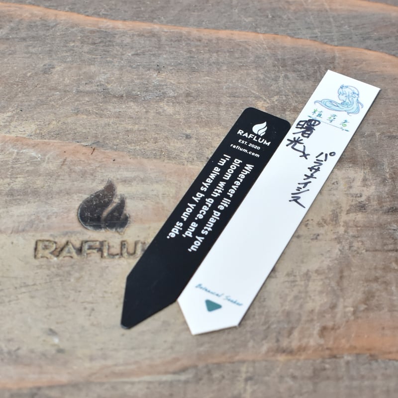 12日まで値引きパライシ　パラサナ✖️イシスメンシス 12日まで値引きパライシ パラサナ✖️イシスメンシス 12日まで値引き