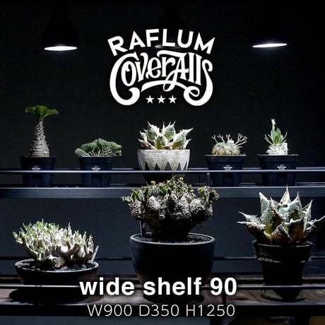 植物棚 | STORES 植物棚 | STORES