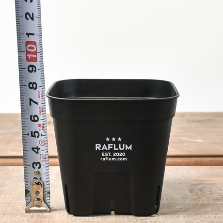 RAFLUM SLIT PLANTER サイズXS/90 （3個セット）