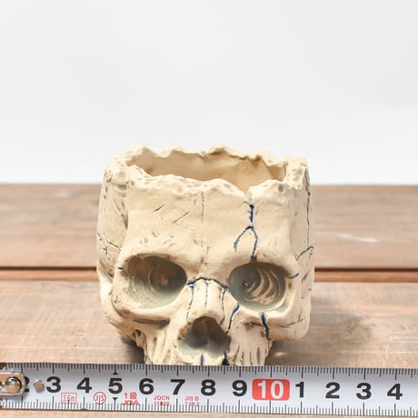 Matasuke Tatsumi（TEATOYA'S GALLERY）【Skull pot WHITE 】RFMT2409010