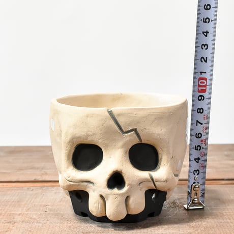 Matasuke Tatsumi（TEATOYA'S GALLERY）【Deformed Skull pot White】B
