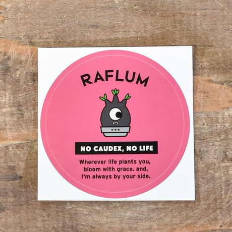【送料無料】RAFLUM "3" STAR EMBLEM【Sサイズ各色1枚、3枚入りセット】RF25011188