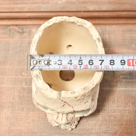 Matasuke Tatsumi（TEATOYA'S GALLERY）【Skull pot WHITE 】RFMT2409007