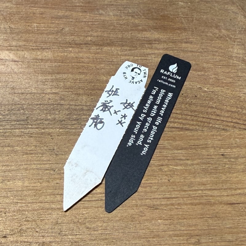 アガベ ハイブリット 