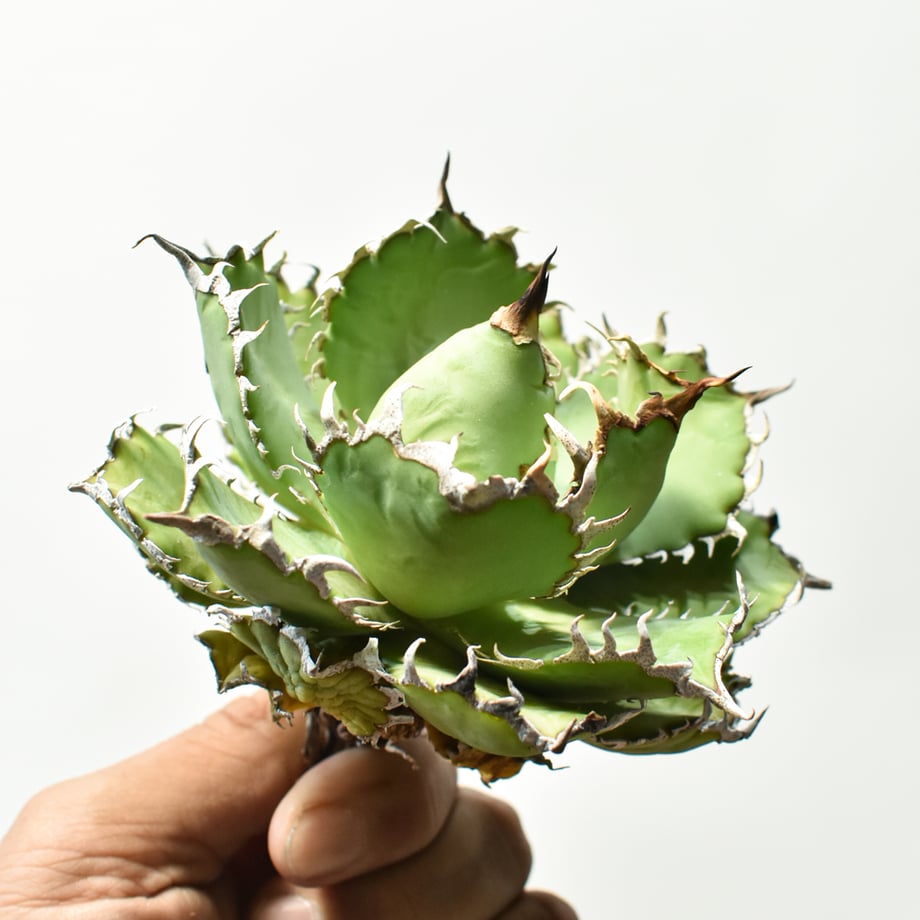 69f582ef82808c92979e674a