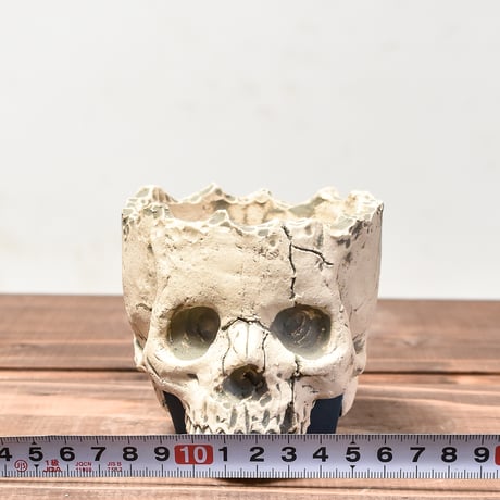Matasuke Tatsumi（TEATOYA'S GALLERY）【Skull pot White 】RFMT24002