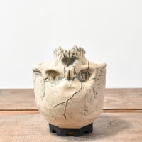 Matasuke Tatsumi（TEATOYA'S GALLERY）【Skull supine pot White 】D
