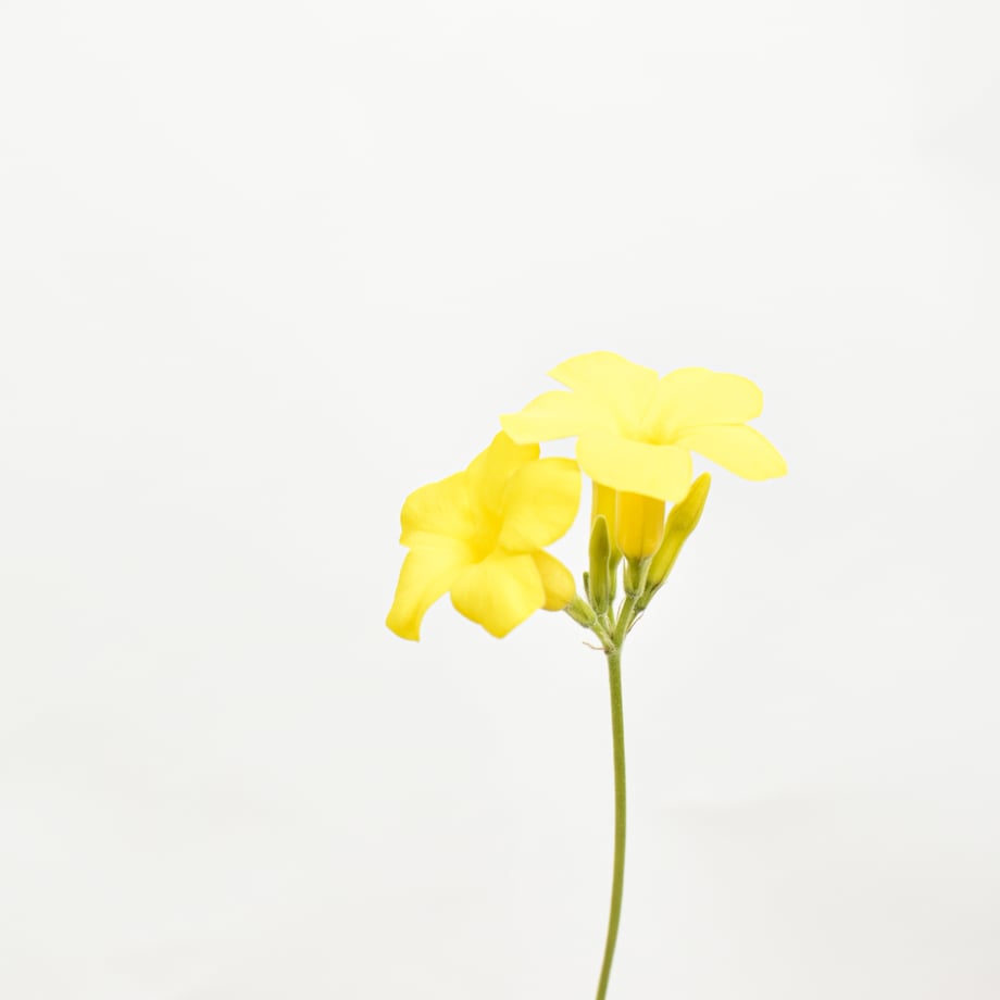 69dedf629a7b215ee7555f26