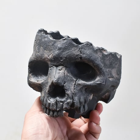 Matasuke Tatsumi（TEATOYA'S GALLERY）【Diagonal Skull pot Black】B