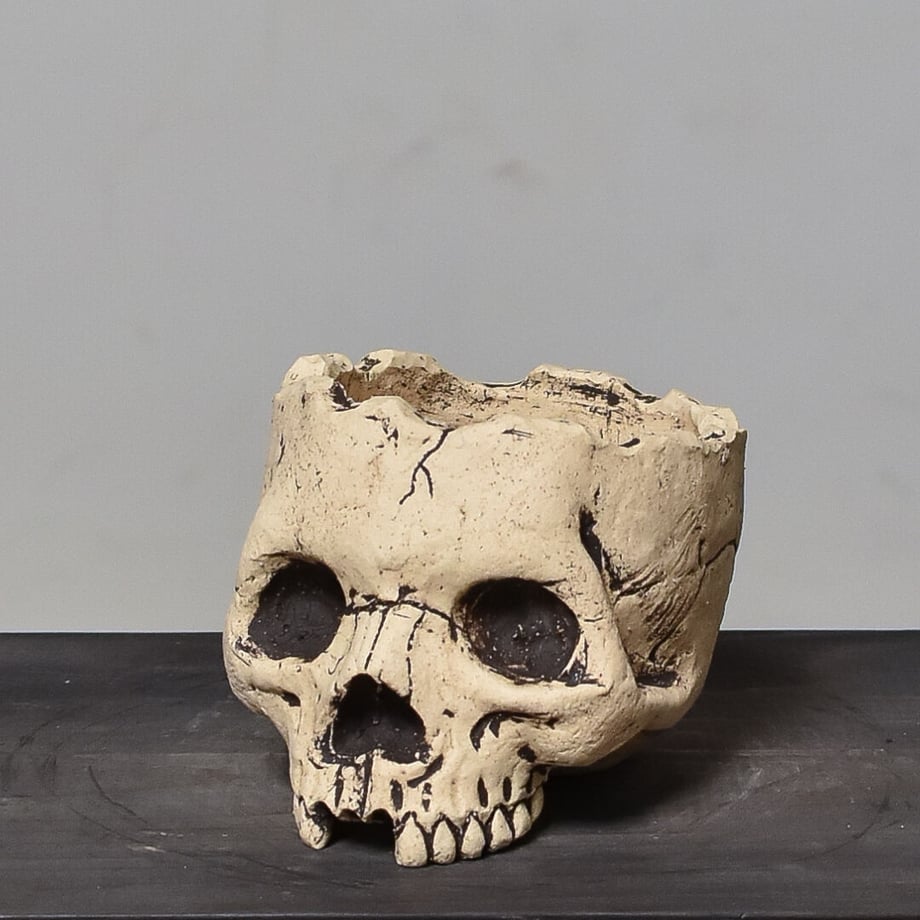 63fef89f7c42ee7ed0978bb8